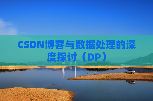 CSDN博客与数据处理的深度探讨（DP）